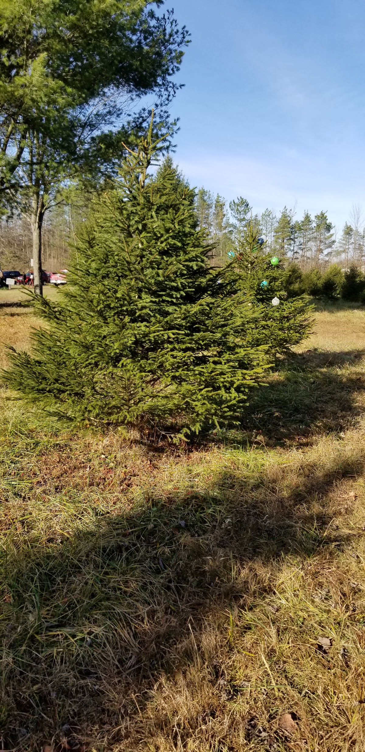 Natural Farms in Ruby, Michigan