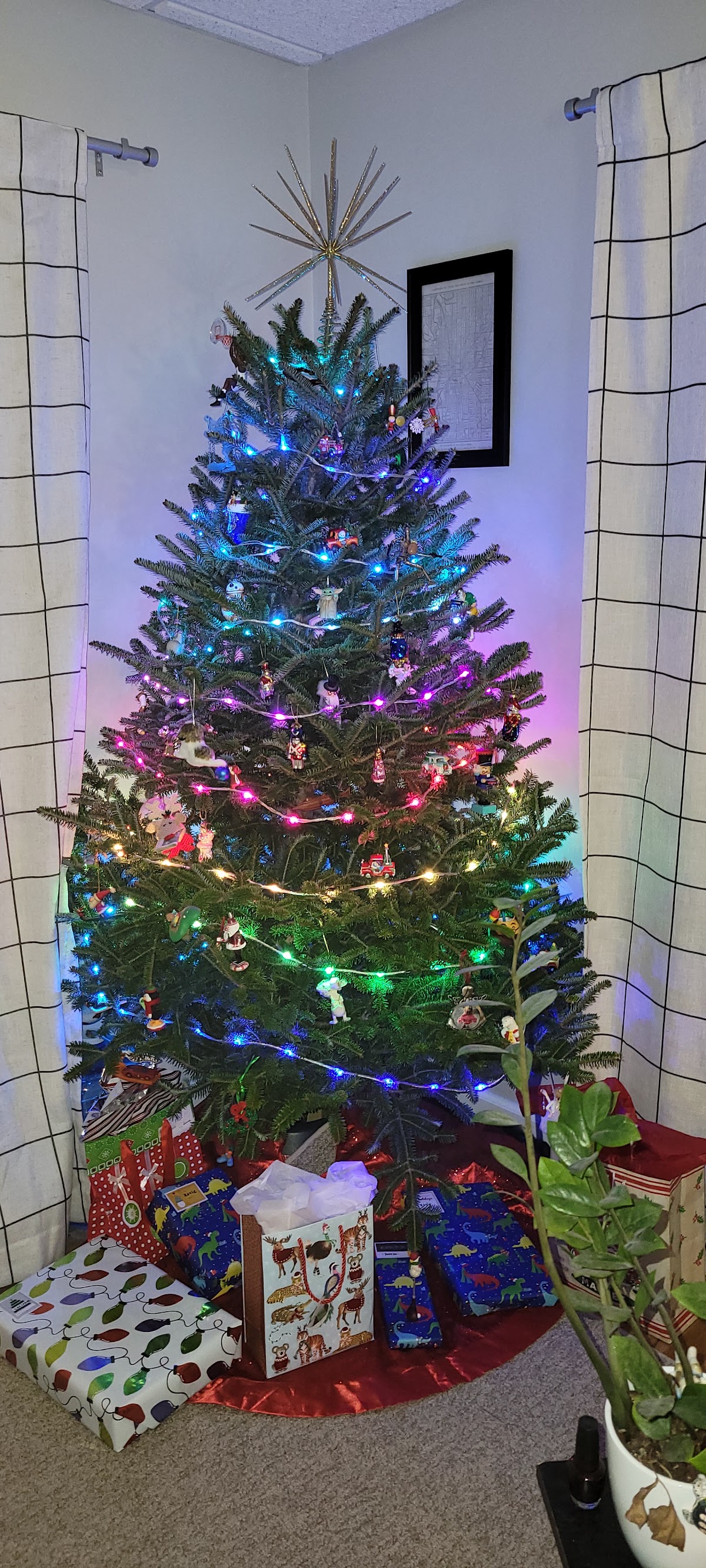 Needlefast Christmas Trees (Nickelson's Tree Farm) in Ludington, Michigan