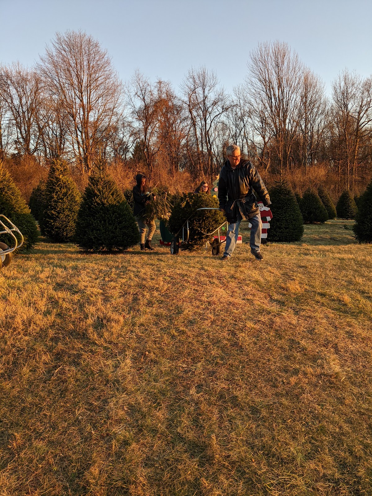 New Jersey Christmas Tree Growers Association in Milford, New Jersey