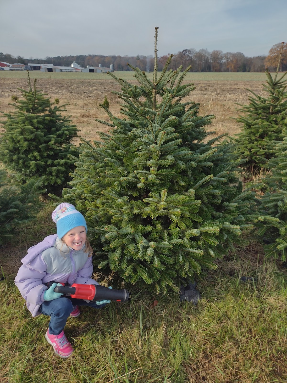 Nichols Tree Farm in Hebron, Maryland