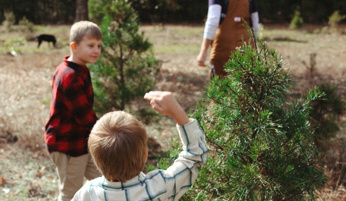 Nichols Tree Haven in Douglass, Texas