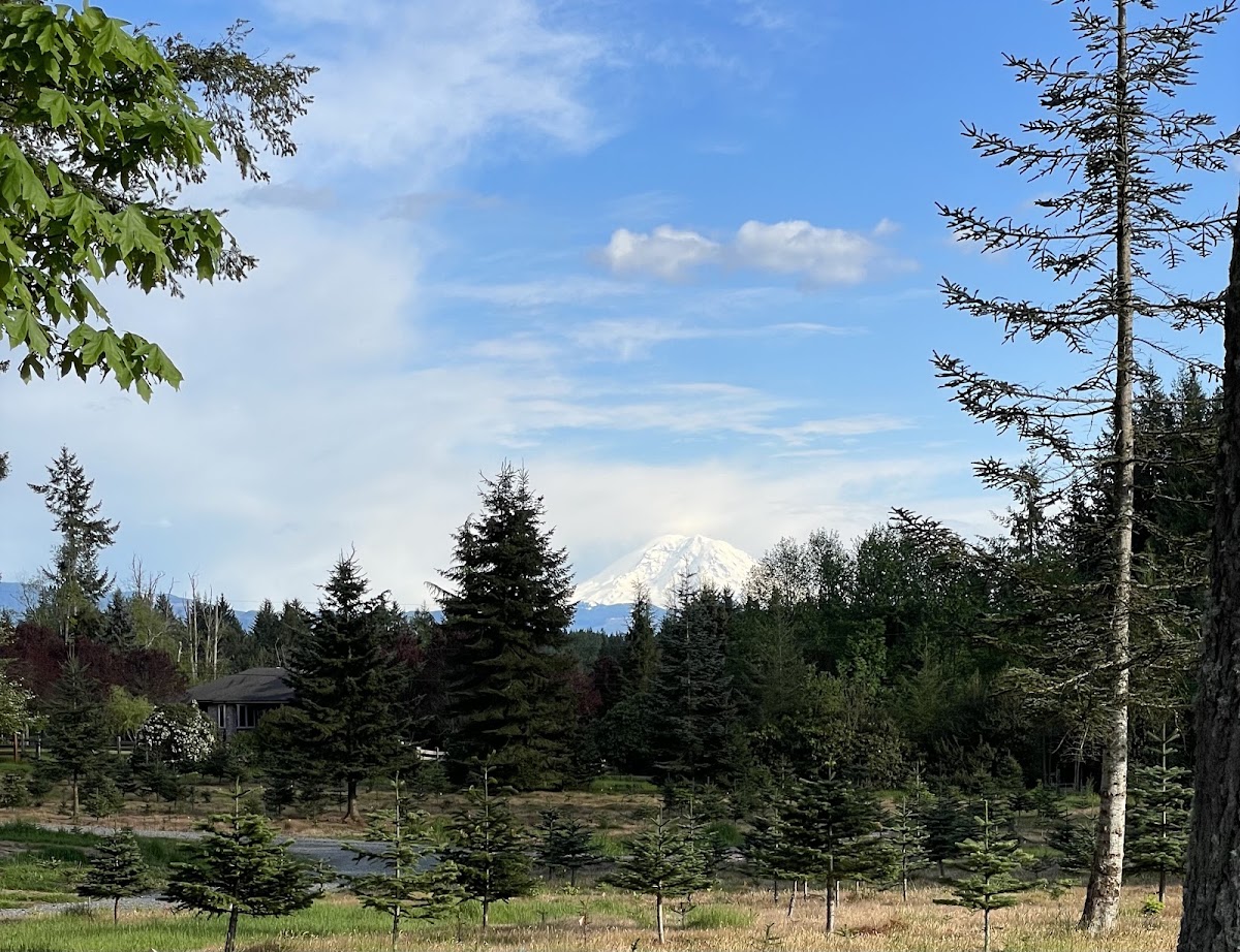Noble Grove Tree Farm in Maple Valley, Washington