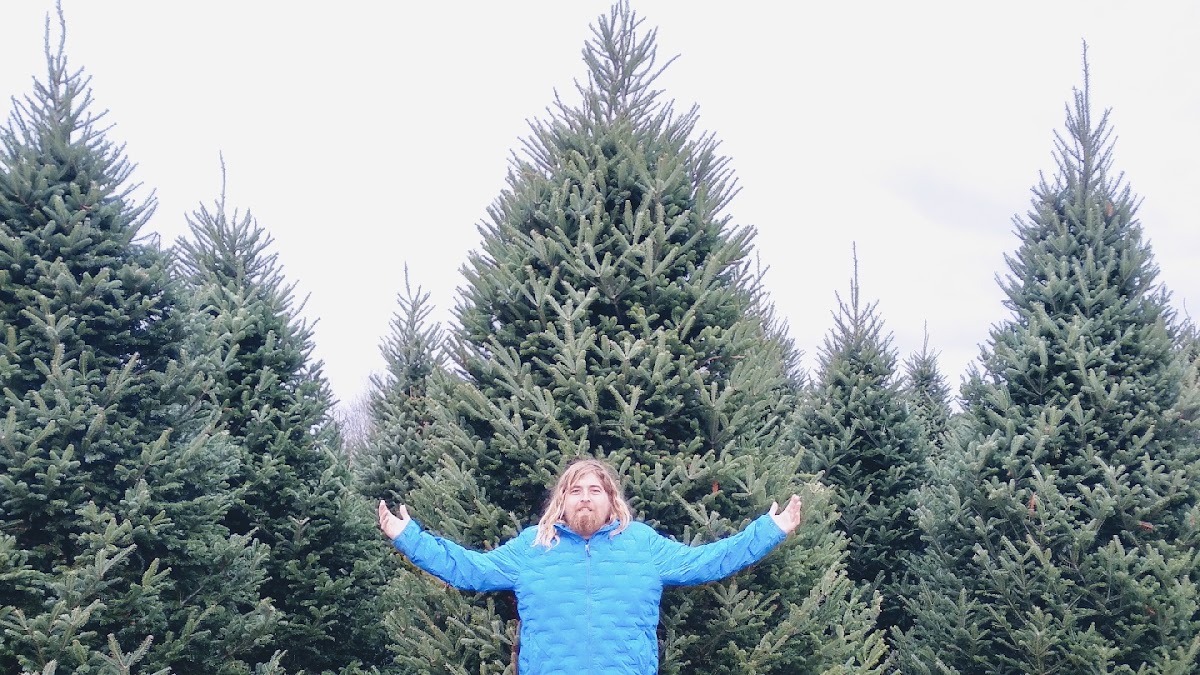 Noble Valley Christmas Trees in Las Vegas, Nevada