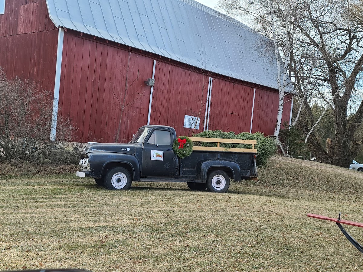 North Countree Christmas Inc in Wausaukee, Wisconsin