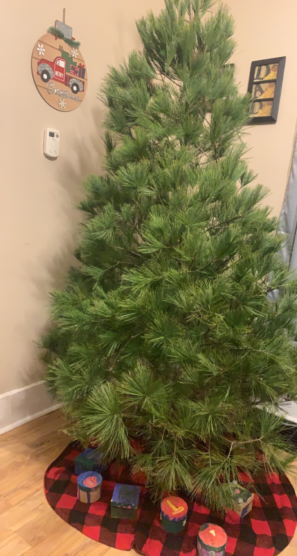 North Fork Tree Farm in Mount Pulaski, Illinois
