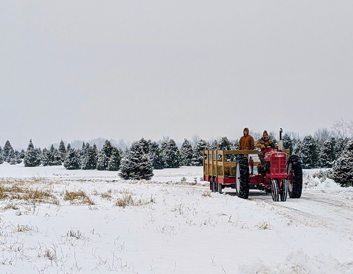 Northline Tree Company in Kingman, Indiana