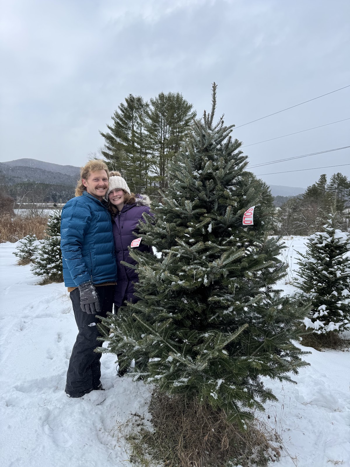 O'Briens Christmas Tree Farm in Orford, New Hampshire