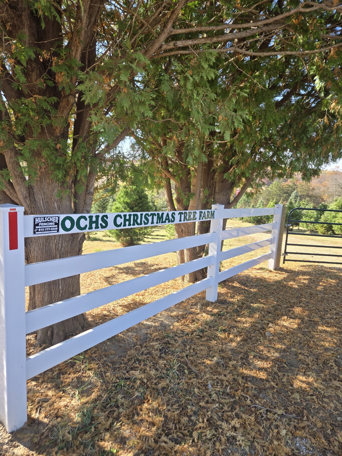 Ochs Christmas Tree Farm in Galena, Illinois