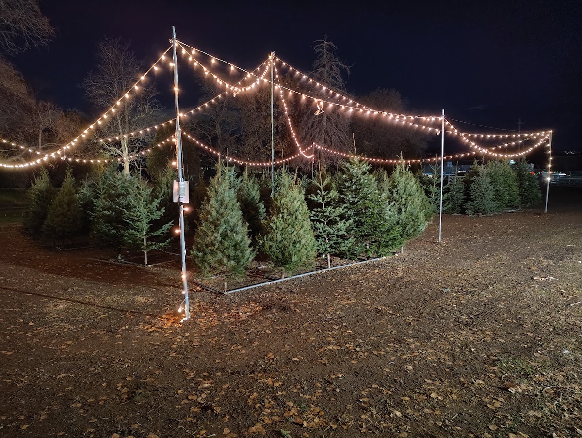 Old Riverton Farm Christmas trees in Riverton, Utah