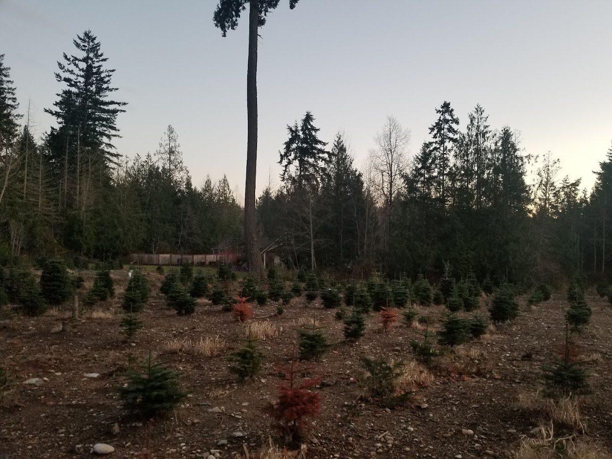 Olmsted Tree Farms in Poulsbo, Washington