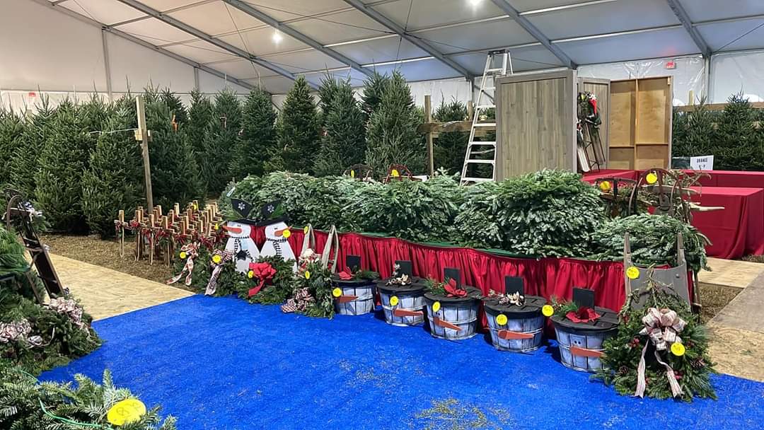Omni Rentals Christmas Tree Lot in Virginia Beach, Virginia