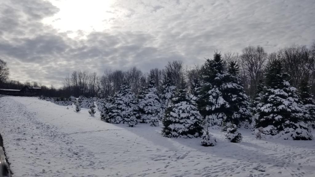 Open View Farms in Mansfield Township, New Jersey