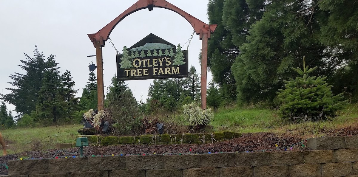 Otley's Tree Farm in Corvallis, Oregon