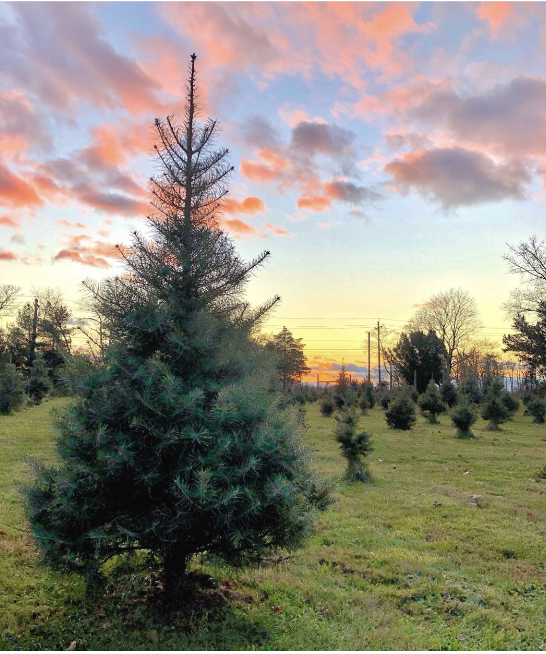 Otterbein Farms in Franklin Township, New Jersey