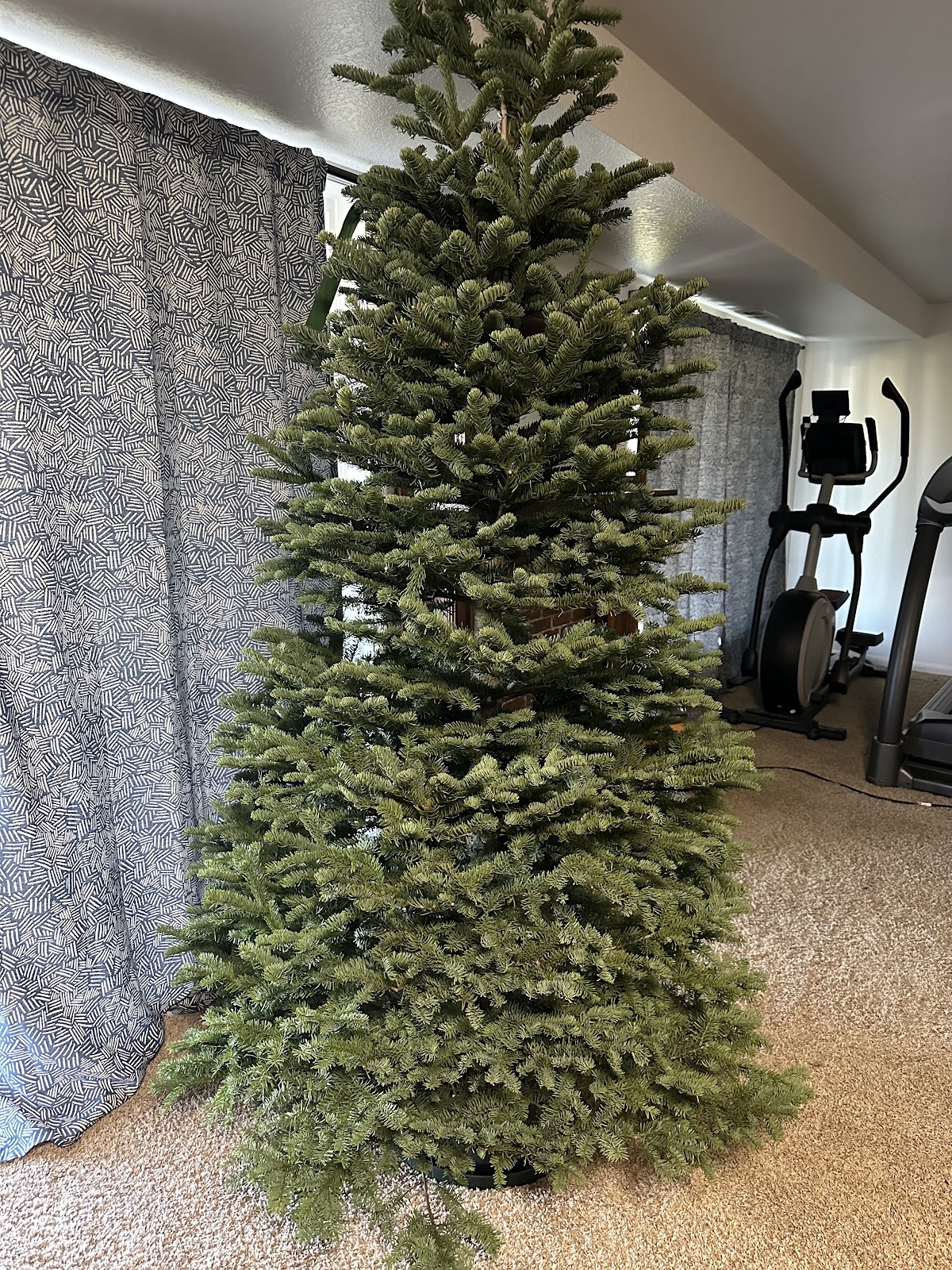 Packer Christmas Trees in Meridian, Idaho