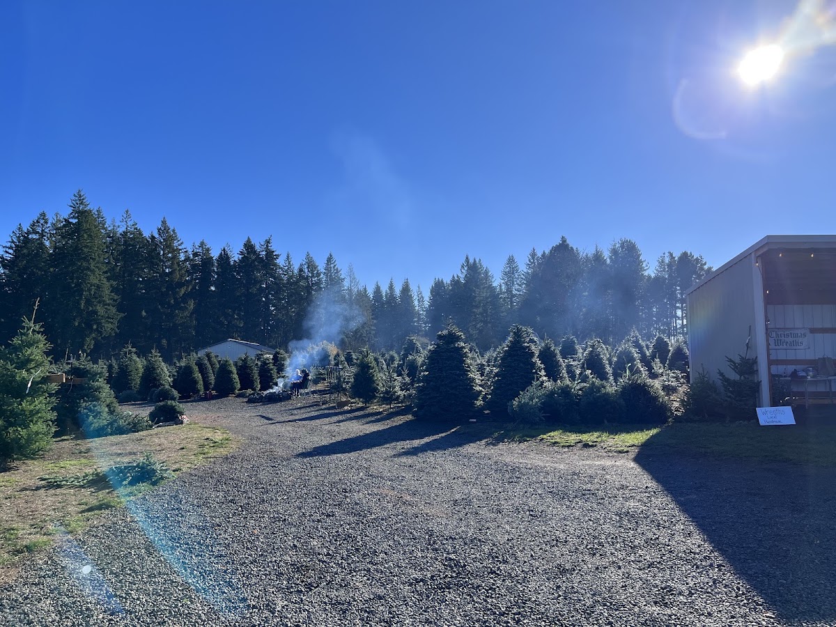Parkview Christmas Trees in Estacada, Oregon