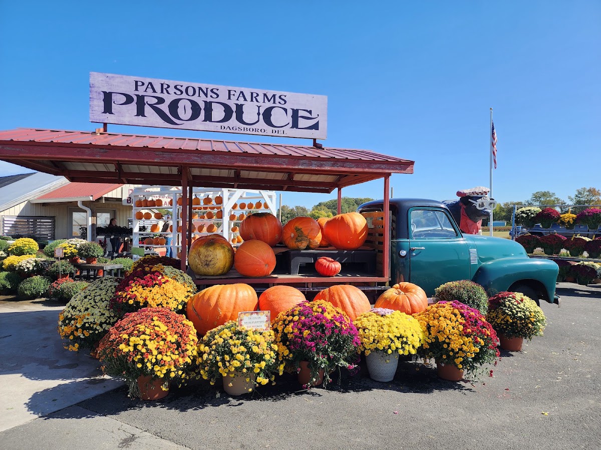 Parsons Farms Produce in Dagsboro, Delaware