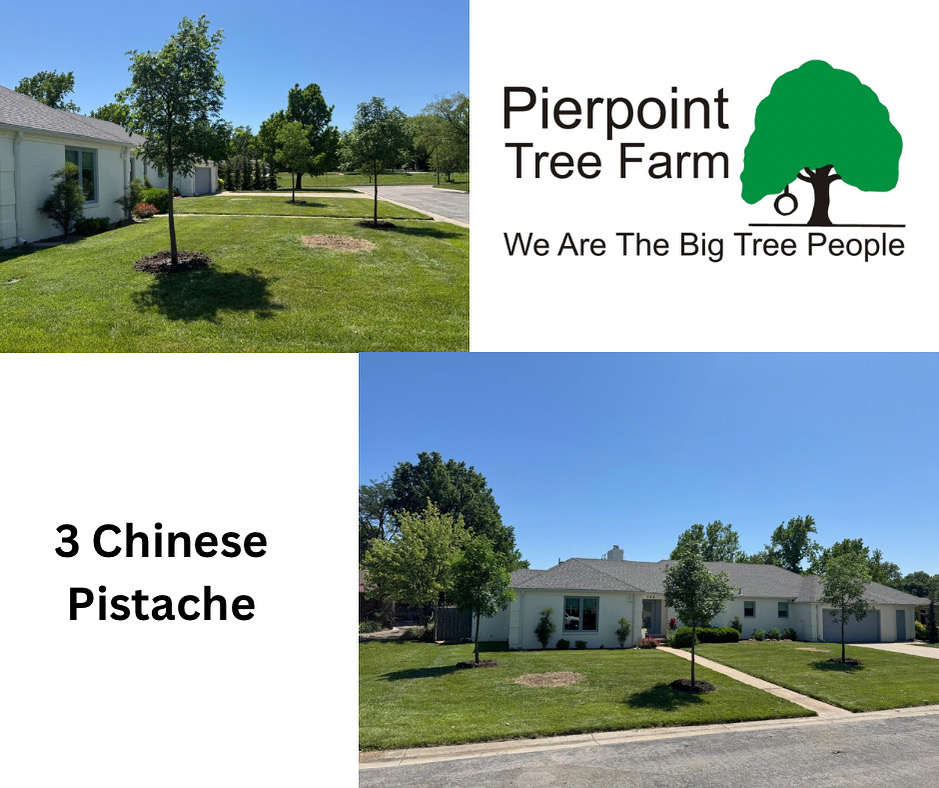 Pierpoint Tree Farm in Valley Center, Kansas