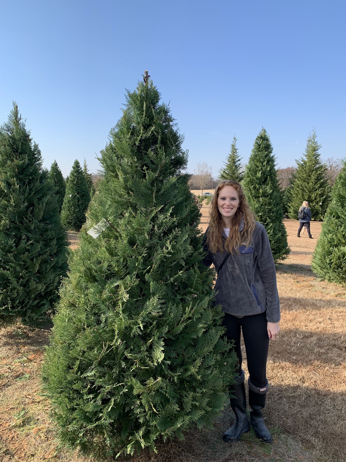 Pine Grove Christmas Tree Farm in Charleston, Arkansas