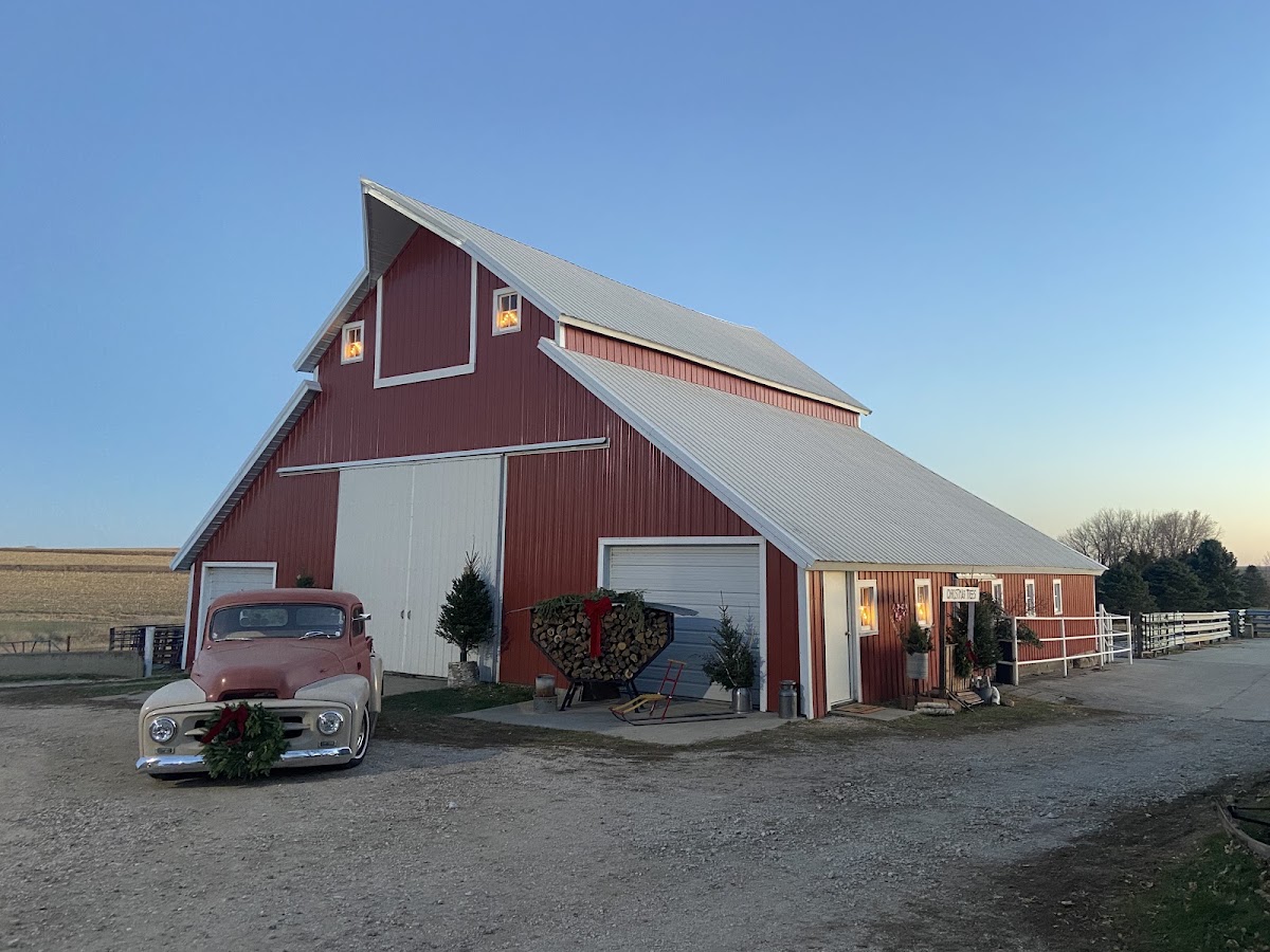 Pine & Pond Christmas Trees & Christmas Marketplace in Paullina, Iowa