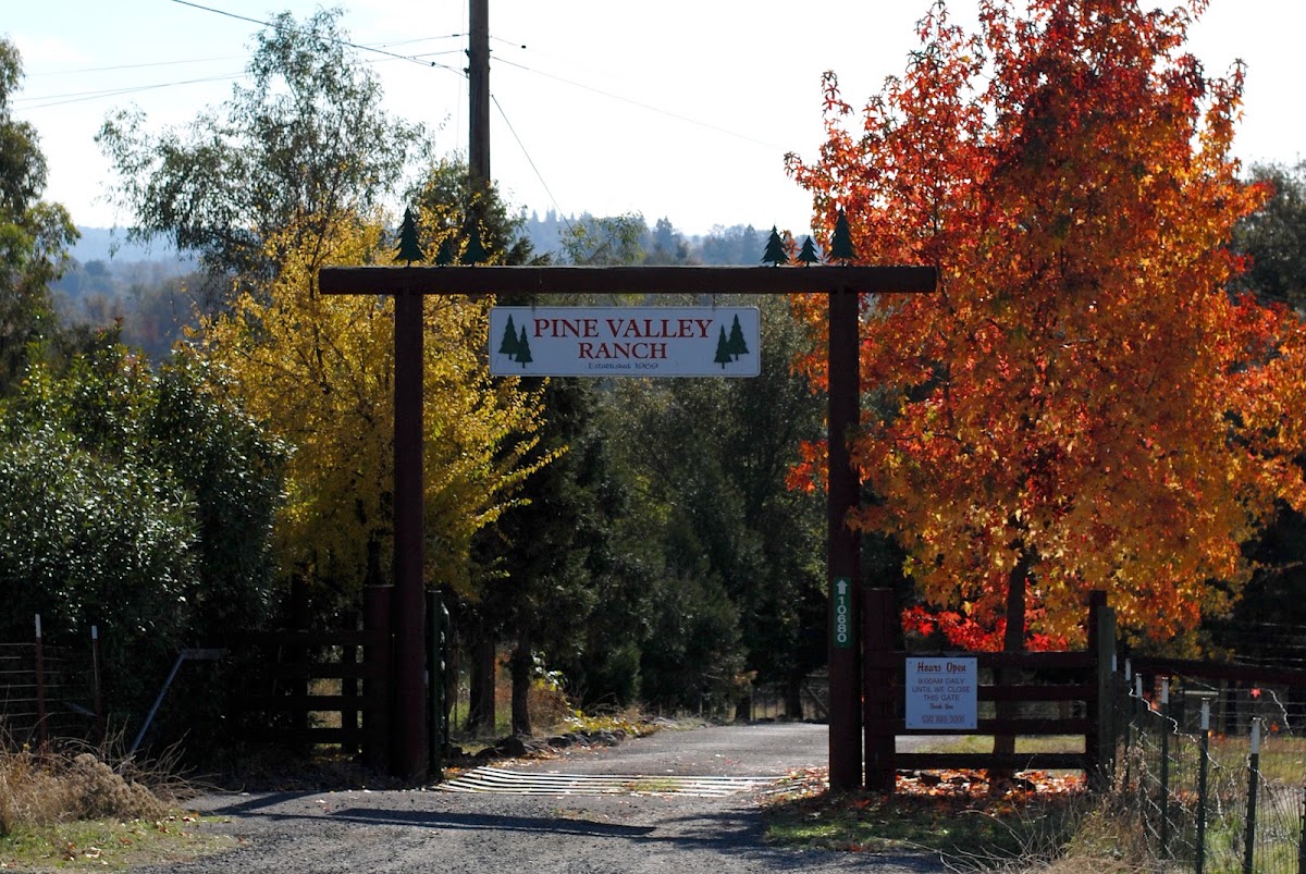Pine Valley Ranch in Auburn, California