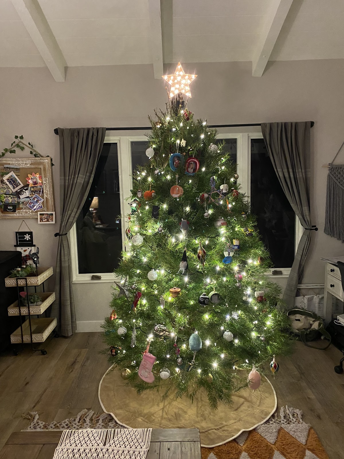Pinery Christmas Trees Co in San Diego, California