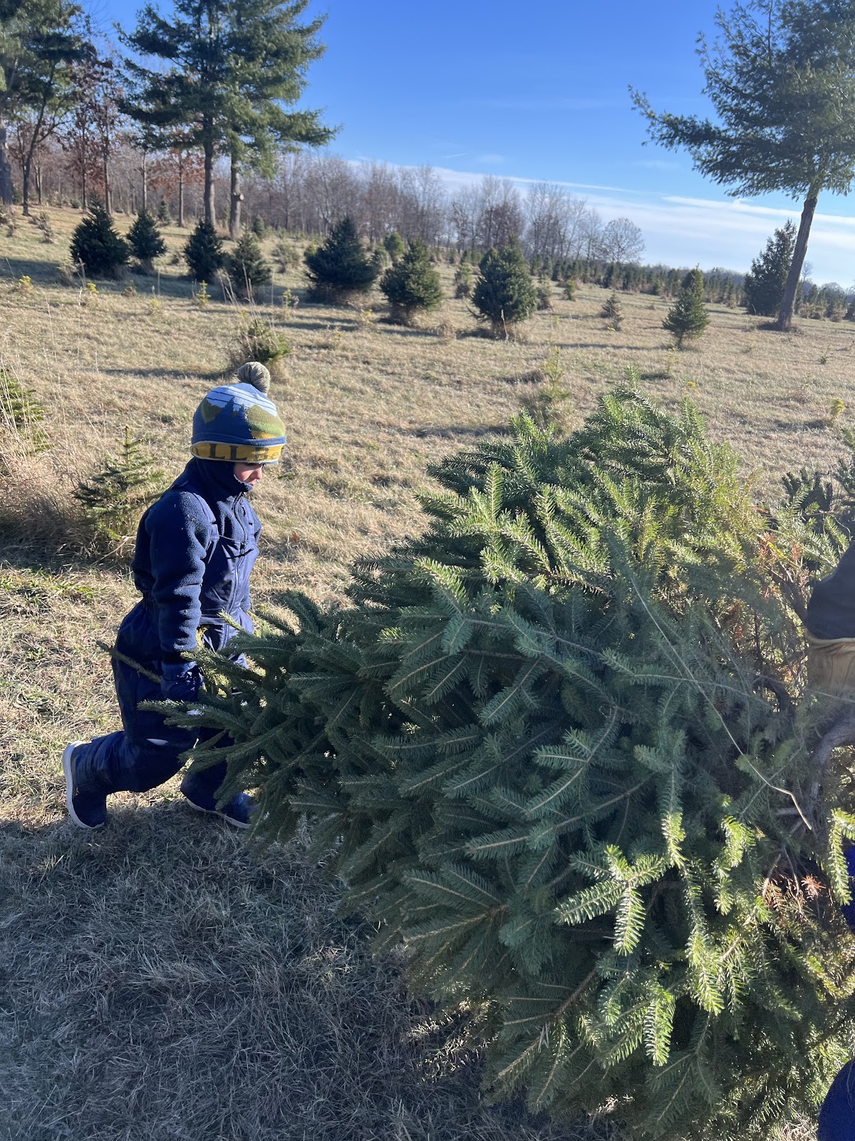 Pioneer Tree Farm in McHenry, Illinois