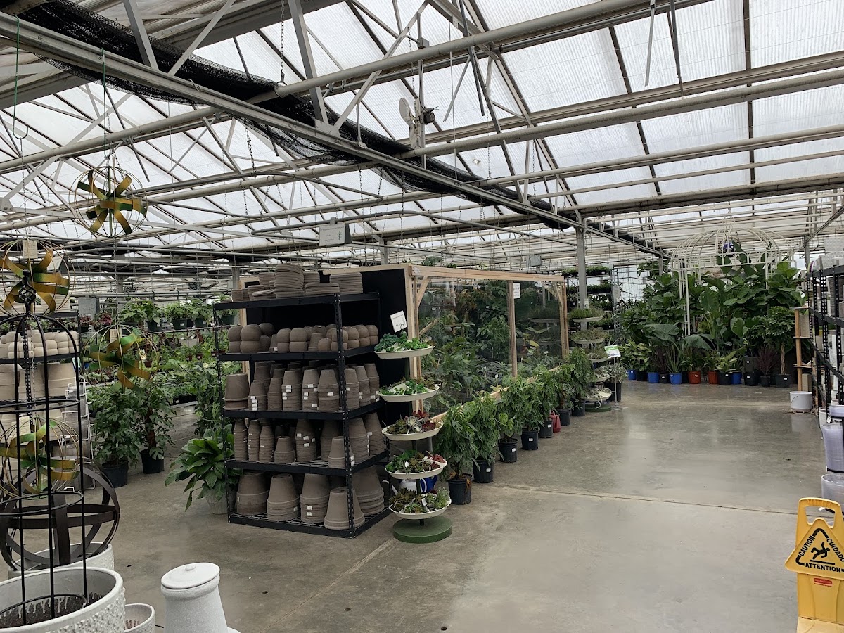 Plant Perfect in Bismarck, North Dakota