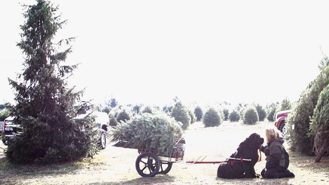 Plow Farms in Mohnton, Pennsylvania