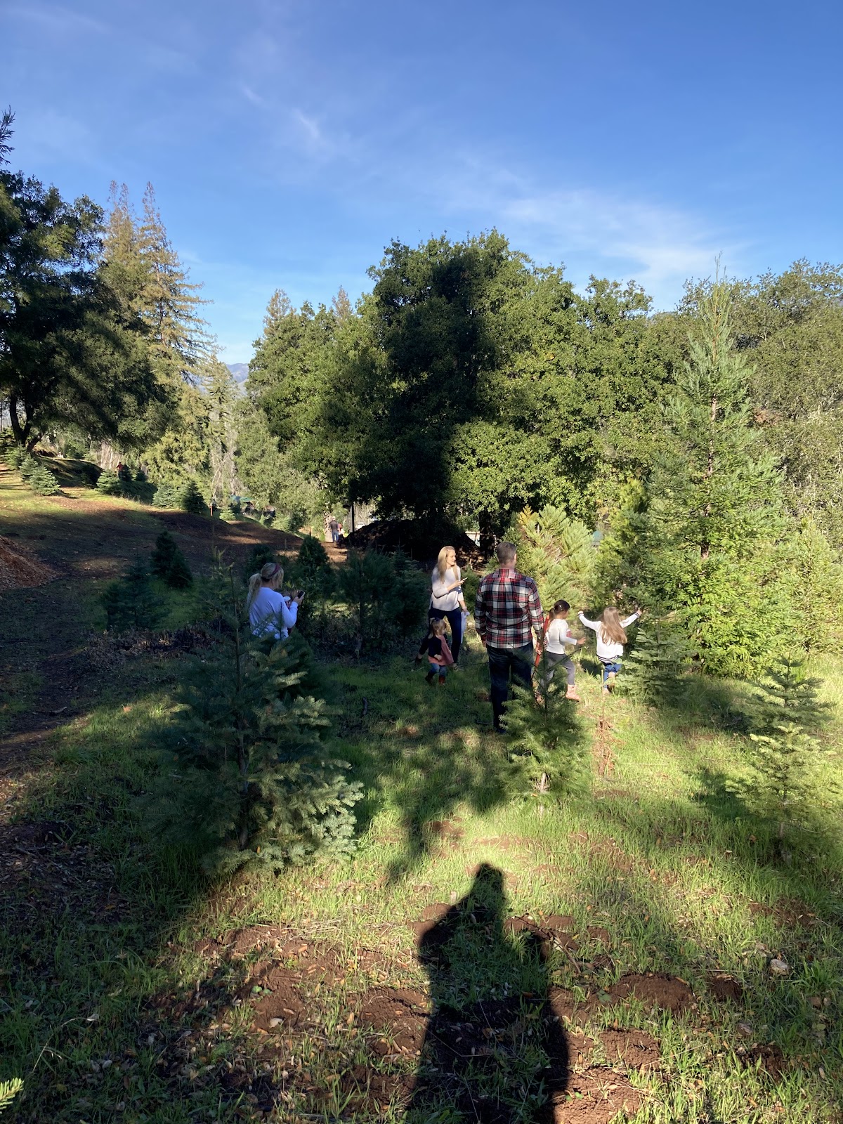 Pochini Family Farm in Calistoga, California