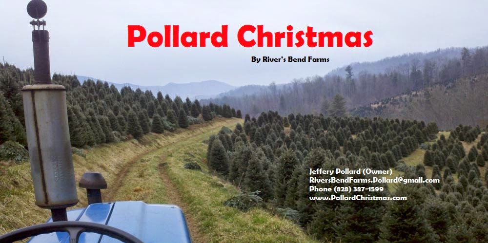 Pollard's Riversbend Farm Tree Lot in Lafayette, Louisiana
