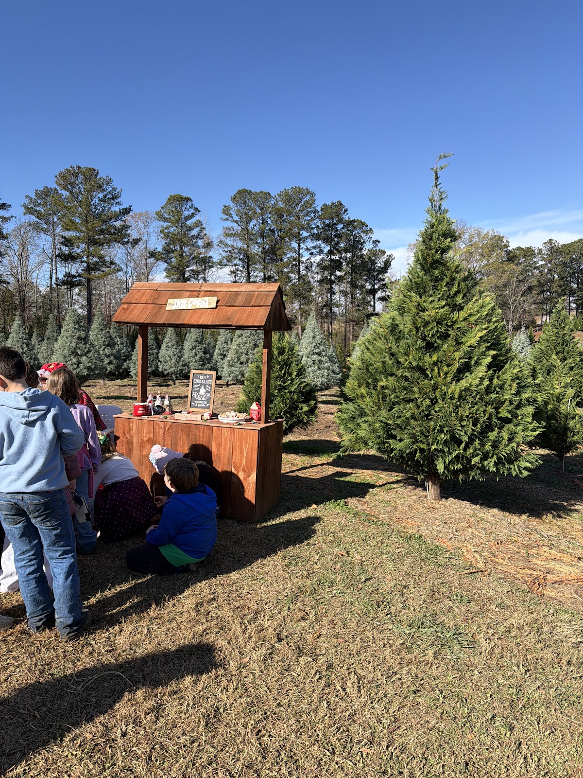 Porter Pines in Clanton, Alabama