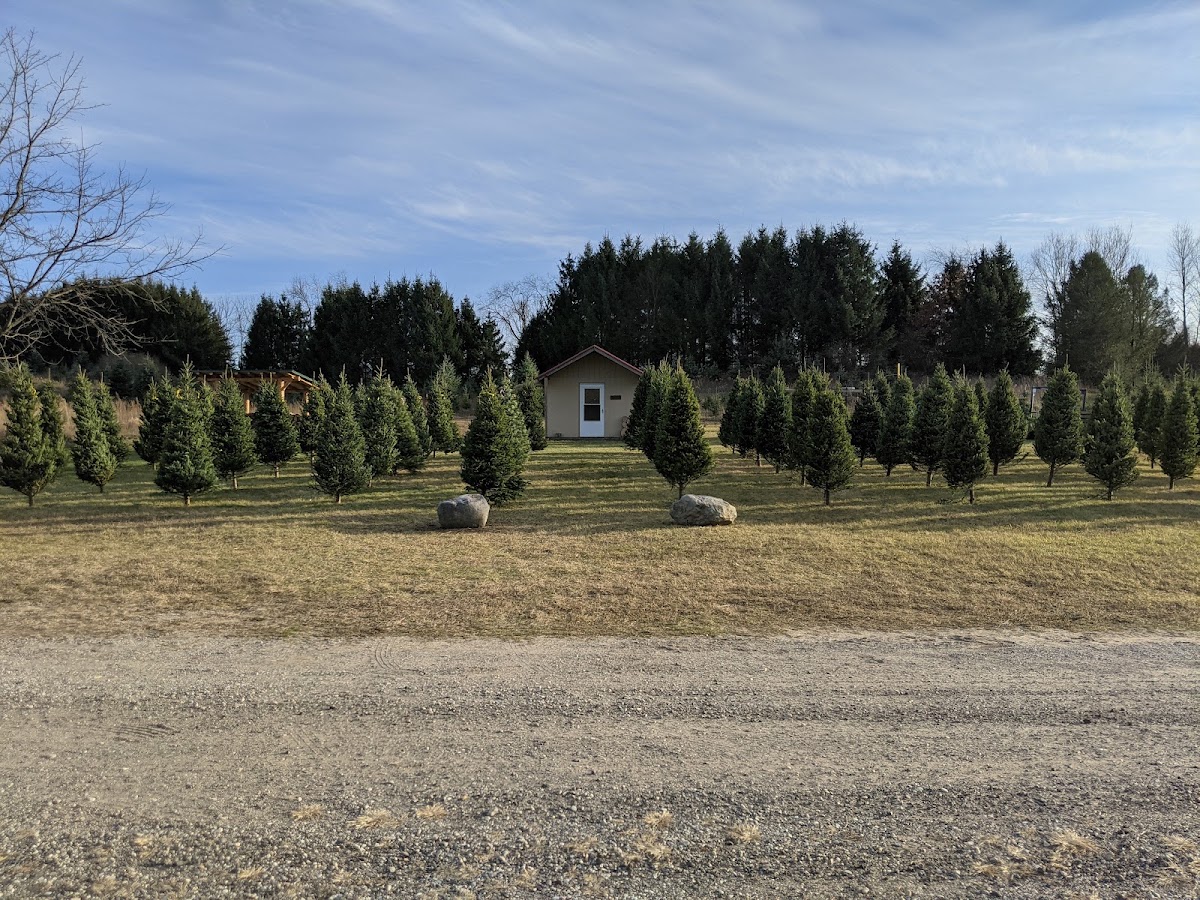 Postema Tree Farm in Alto, Michigan