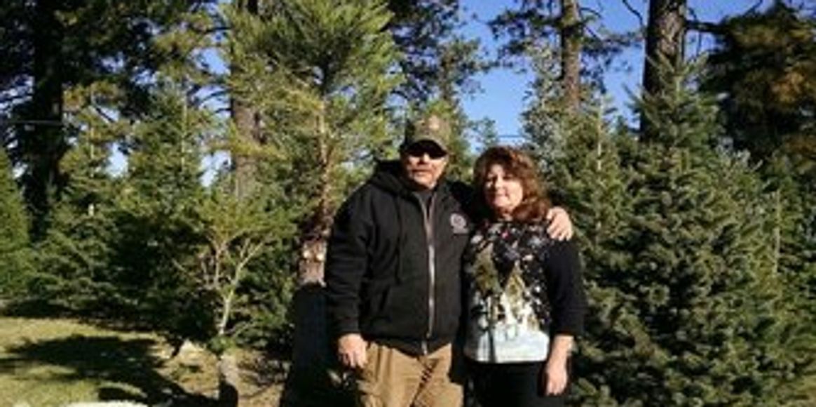 Poverty Hill Tree Farm in Placerville, California
