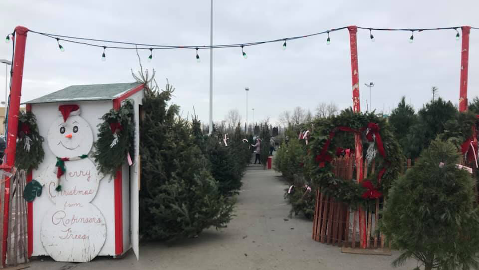 Ray Robinson’s Tree Farm in Kalispell, Montana