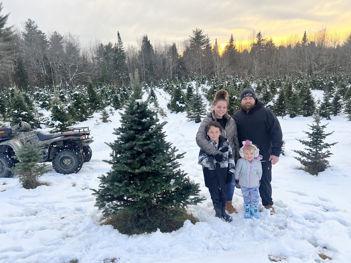 Raymond Hill Christmas Tree Farm in Raymond, Maine