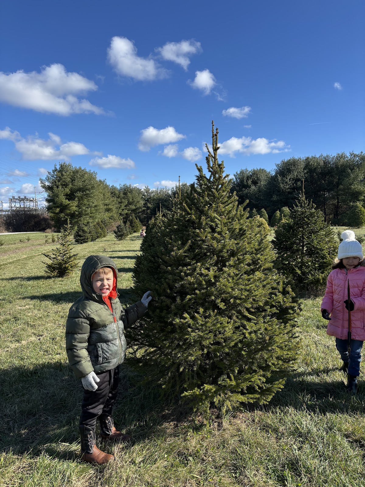 Red Barn Tree Farm in Miamisburg, Ohio