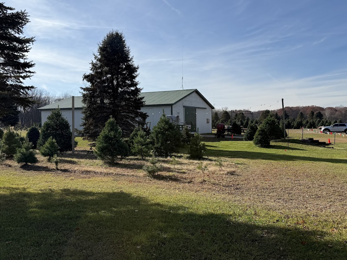 Red Creek Tree Farms in Lawrence, Michigan
