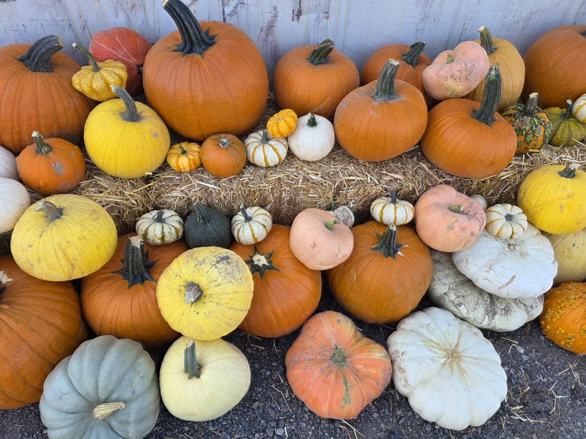 Riley's Farm Fresh in Genola, Utah