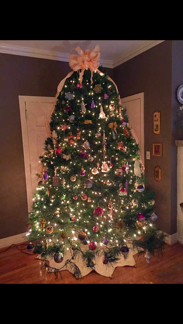 Risner Christmas Tree Farm in Citronelle, Alabama