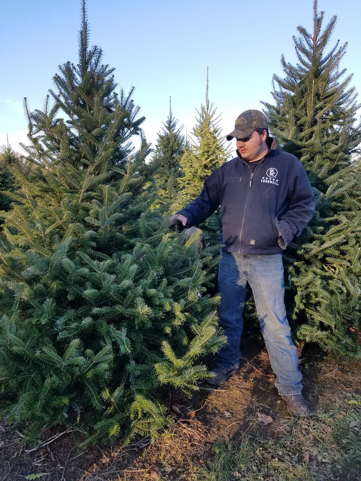 River Run Tree Farm in Mantua, Ohio