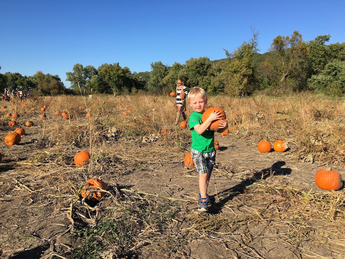 Riverview Christmas Tree Farm and Pumpkin Festival in Canton, South Dakota