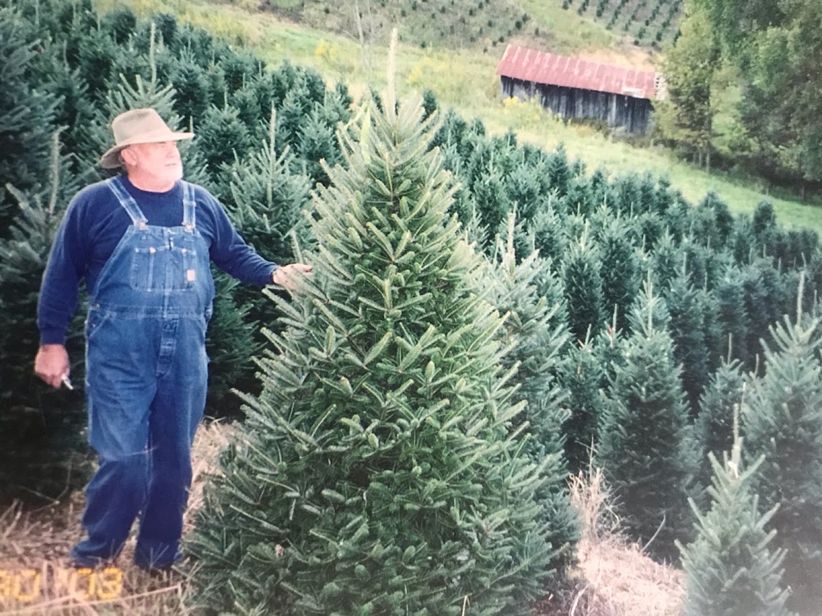 Roan Valley Tree Farm in Johnson City, Tennessee