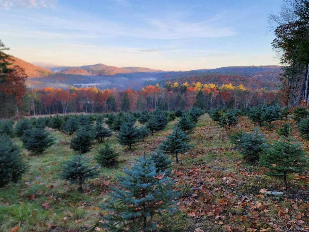 Rockhouse Ridge Farm in Huntington, Massachusetts