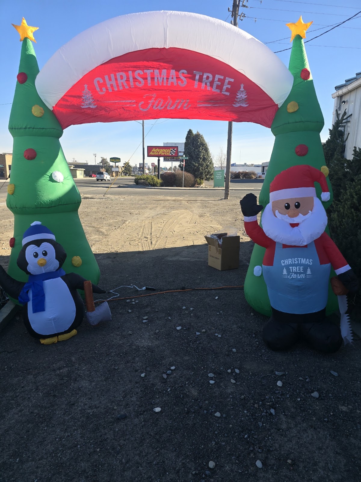 Rocky Mountain Christmas Trees in Twin Falls, Idaho