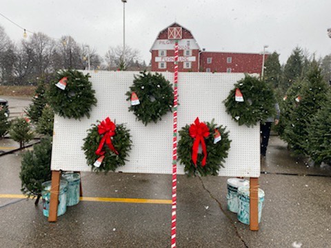 Ron's Lake City Christmas Trees in Okemos, Michigan