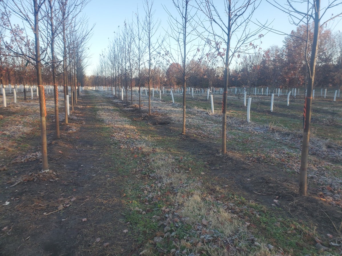 Rosemary Hill Farm in Trenton, Missouri