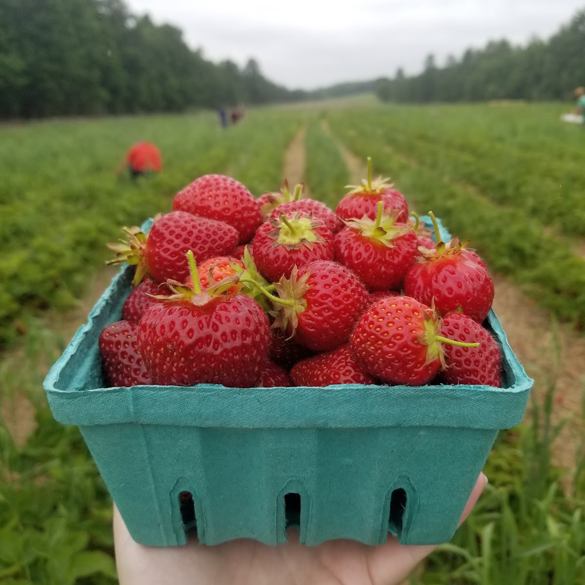 Rossview Farm in Concord, New Hampshire