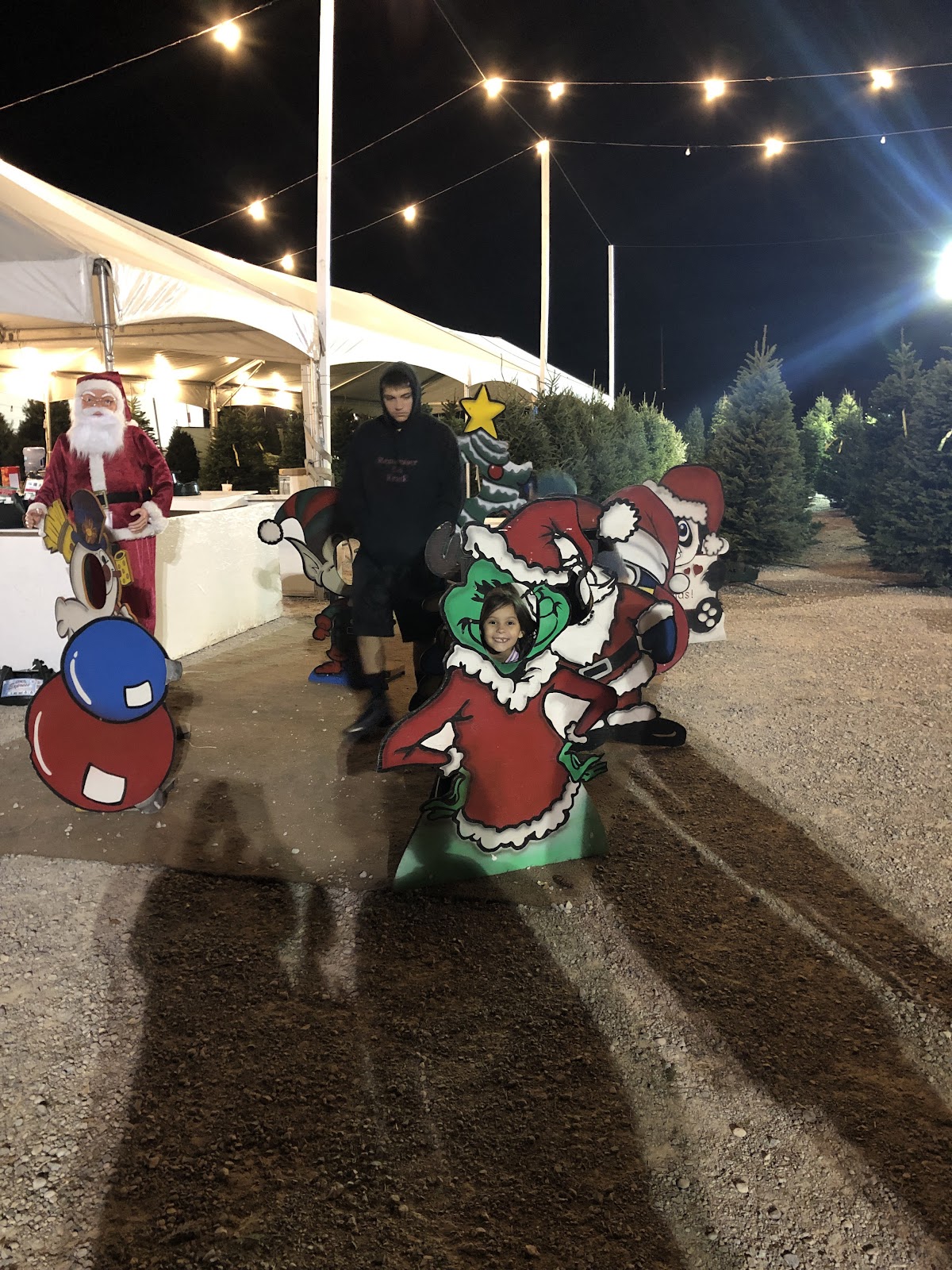 Rudolph's Christmas Trees in Las Vegas, Nevada