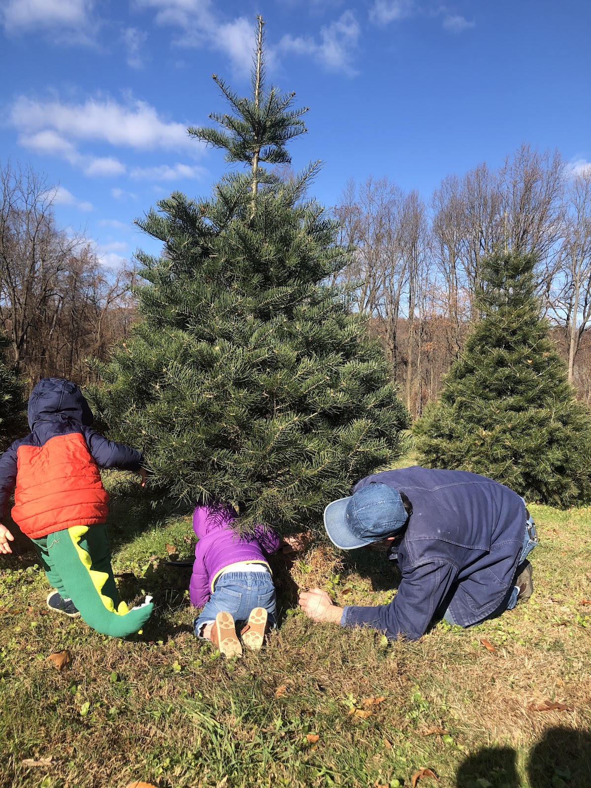 RUHL’S TREE FARM in Phoenix, Maryland